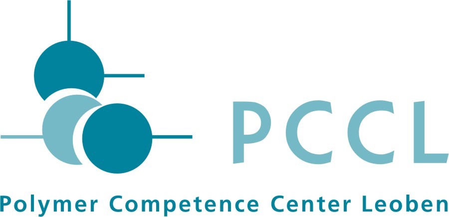 Sicherheitsfachkraft für PCCL - Partner